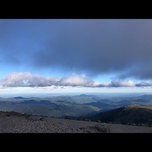 Meet your Posher, Madeline